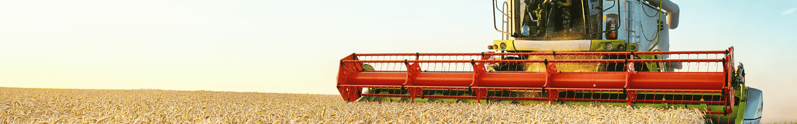 Agriculture