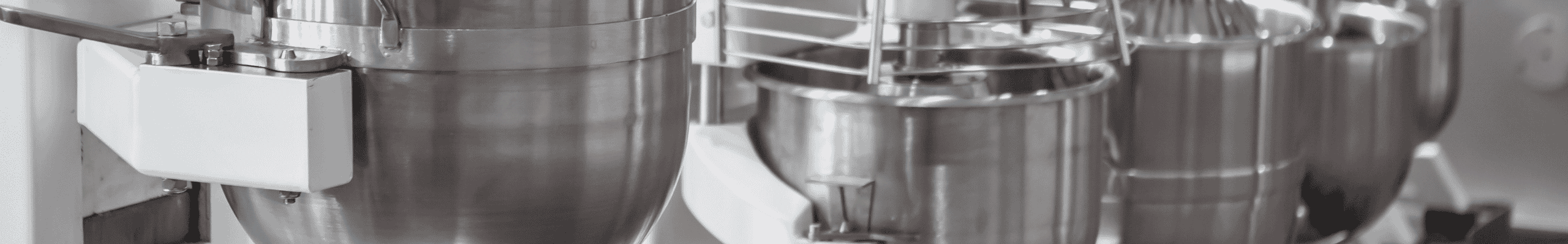 industrial food mixer