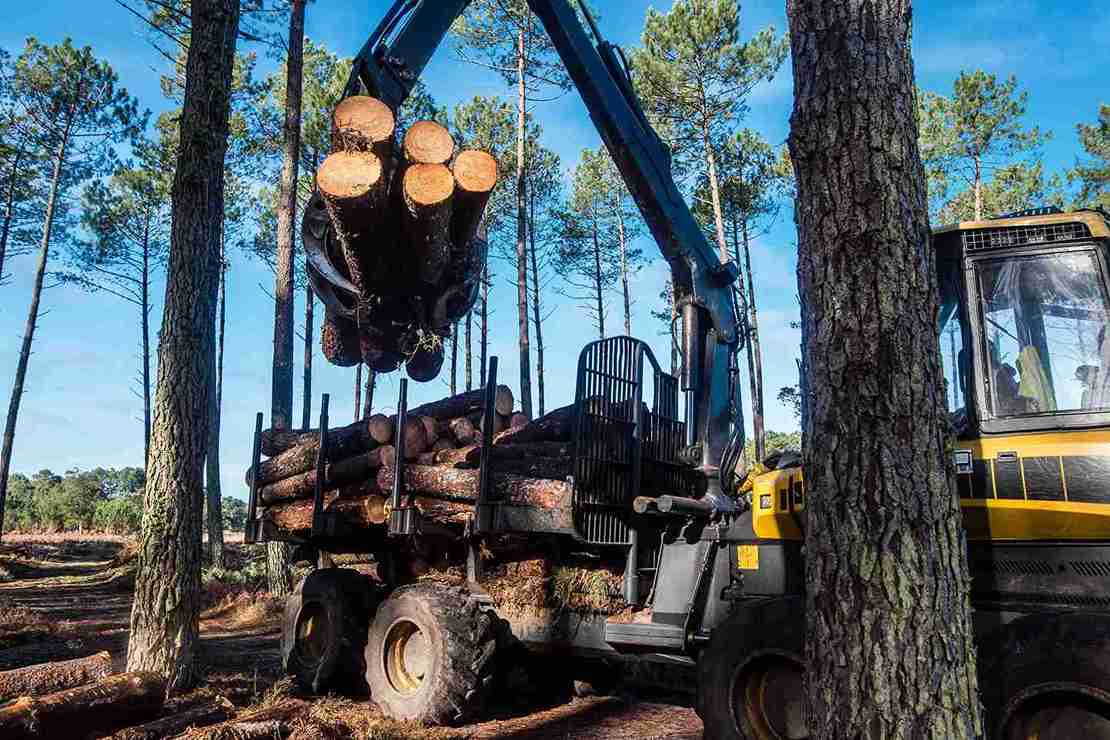 Forestry Equipment